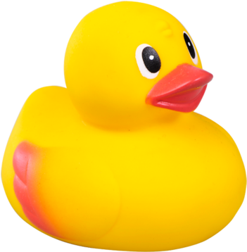 Badeente Bild (489x357)