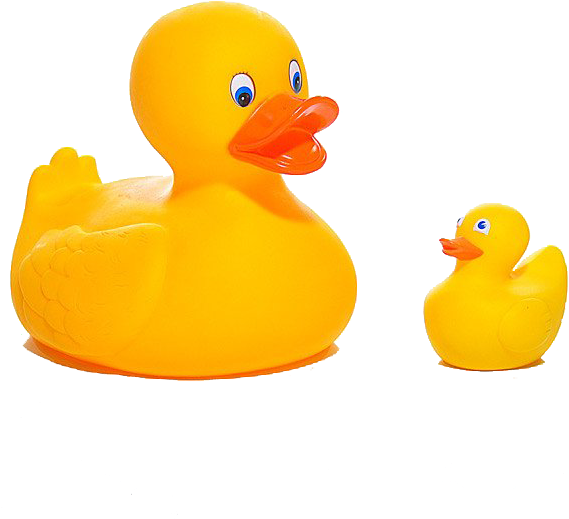 Rubber Duck (600x900)