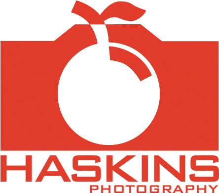   Photography (498x444)
