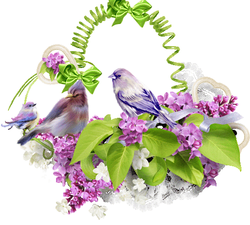 صباح الصفاء والنقاء (498x439)