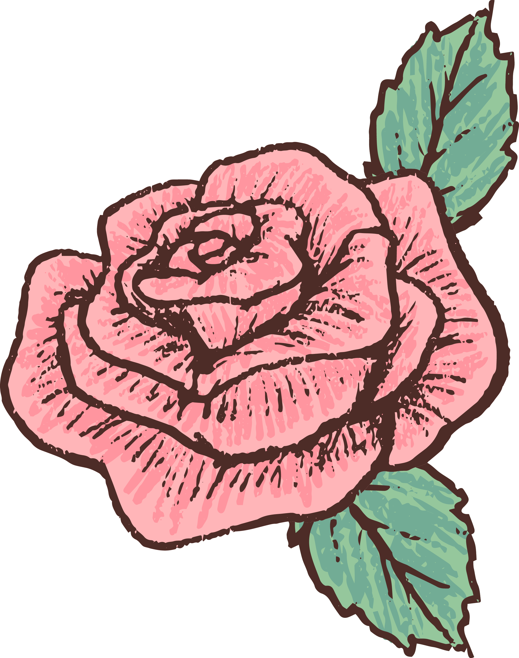 Euclidean Vector Drawing Rose - Drawn Roses (2160x2735)