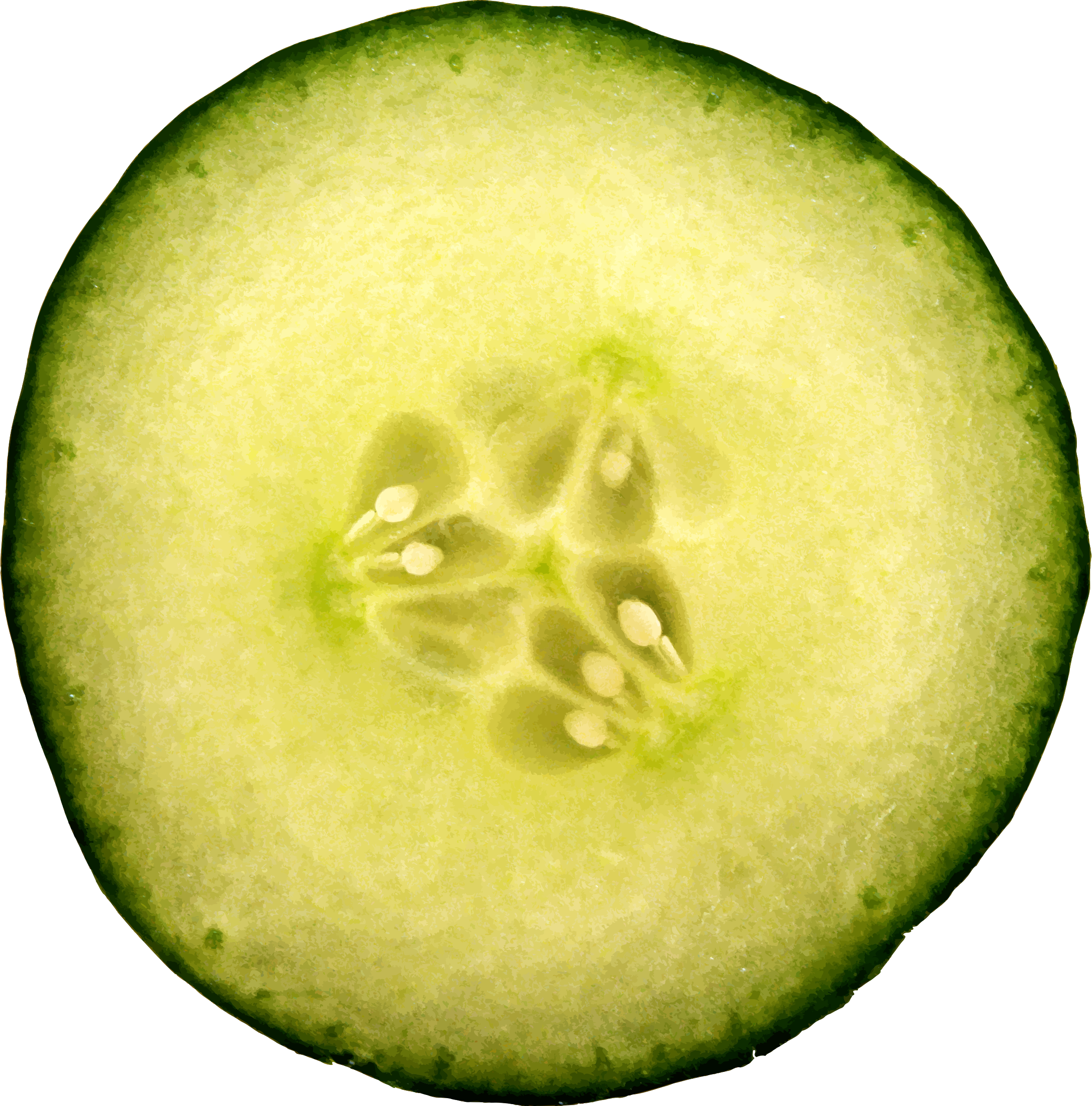 Cucumber - Cucumber (2370x2400)