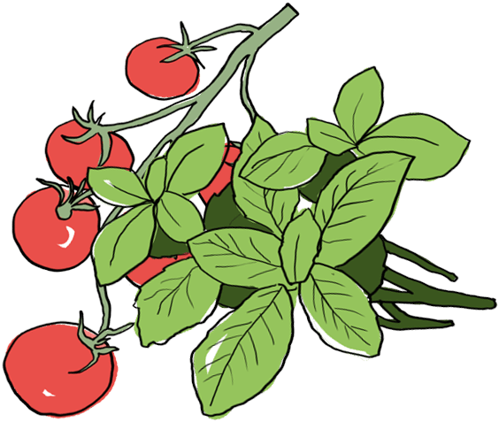 Clip Art (564x477)