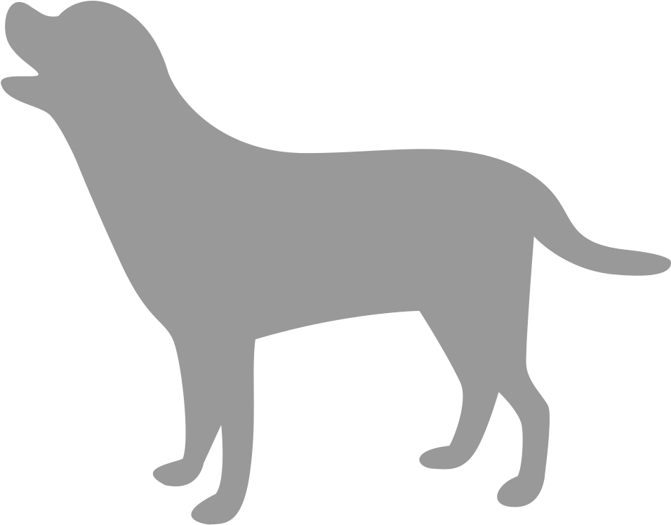 Large Dog Example - Dog (1008x798)