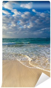 Shore (400x400)
