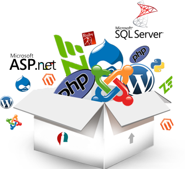 Web Application Development Services Evibrant - Sql Server 2008 R2 (378x346)