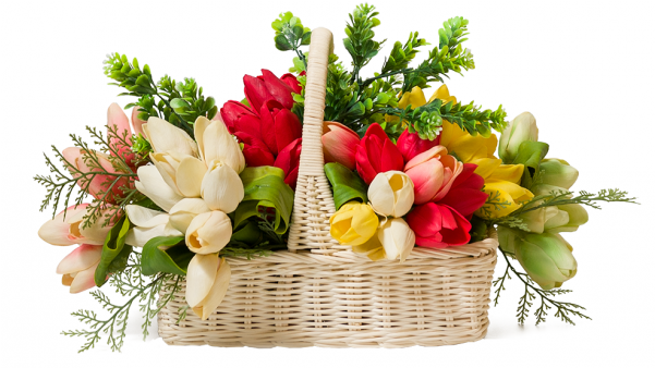 Танцевать Не Пришлось, Но Подпевала С Удовольствием - Bouquet (600x600)