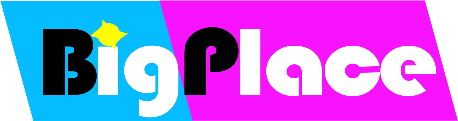 Bigplacelogo - Policy (2000x811)