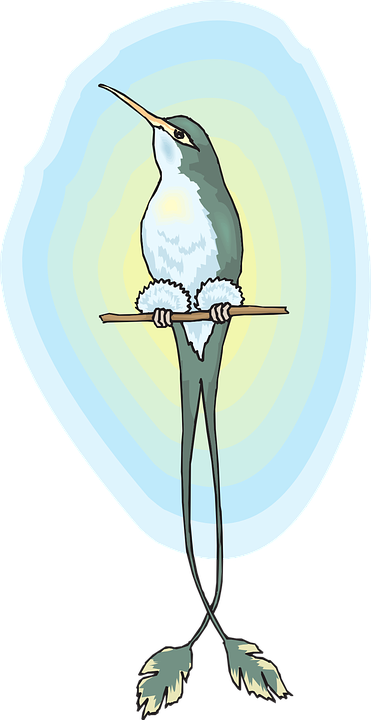 Hummingbird (371x720)