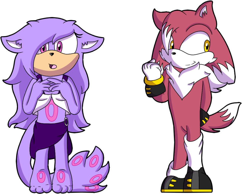 Sonic Auction - Cartoon (999x799)
