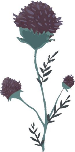 Quill (260x526)