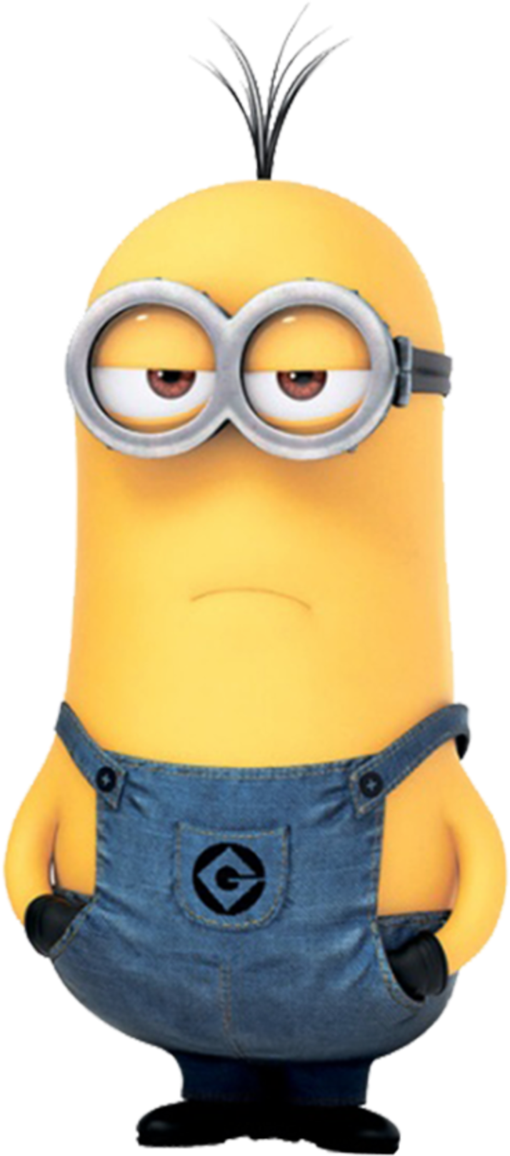 Despicable Me Coloring & Activity Book (800x1677)