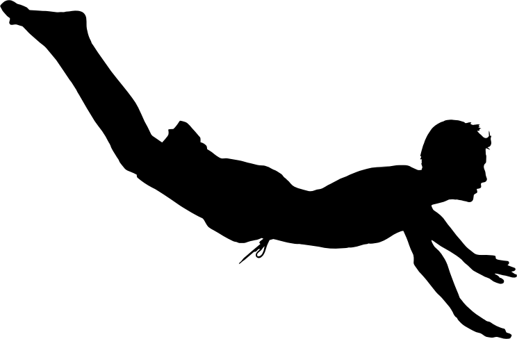 Medium Image - Dive Silhouette (744x488)