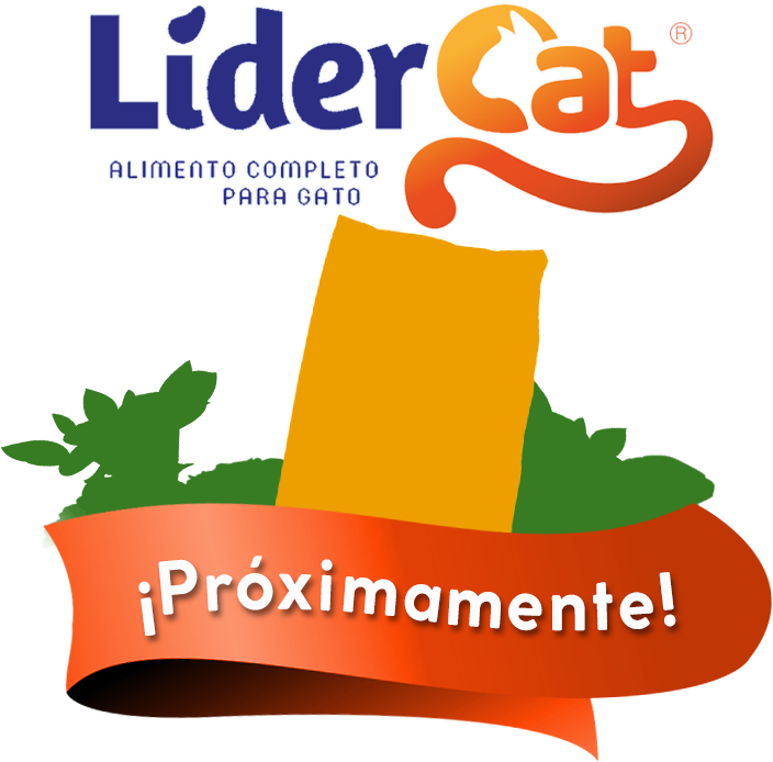Líder Cat - .cat (851x925)