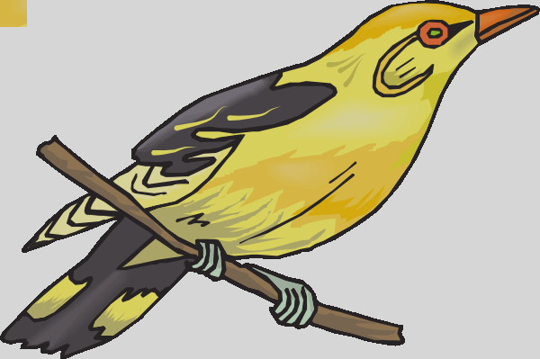 Finch Clipart (600x399)