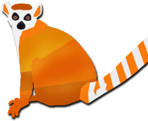 Raccoon (512x512)