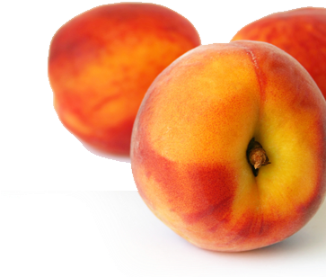 Colorado State Fruit (362x450)