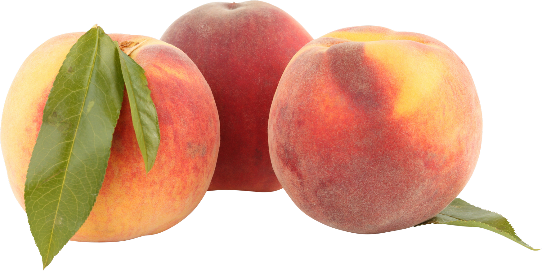 Peach - Peach (1747x876)