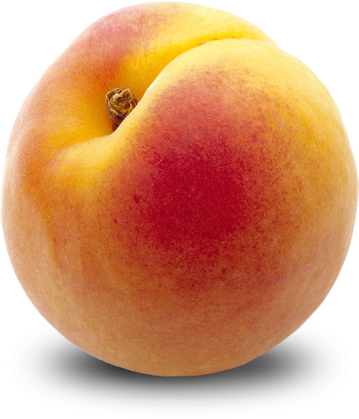 Peach Png (744x744)