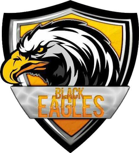 Black Eagles - Logo (455x500)