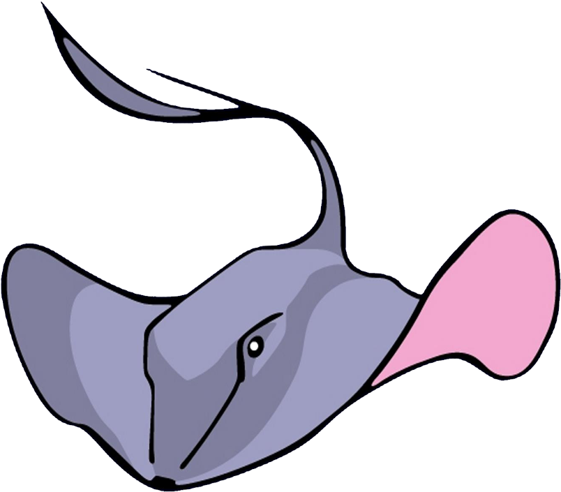 Kung Stingrays - Sai Kung Stingrays (900x900)