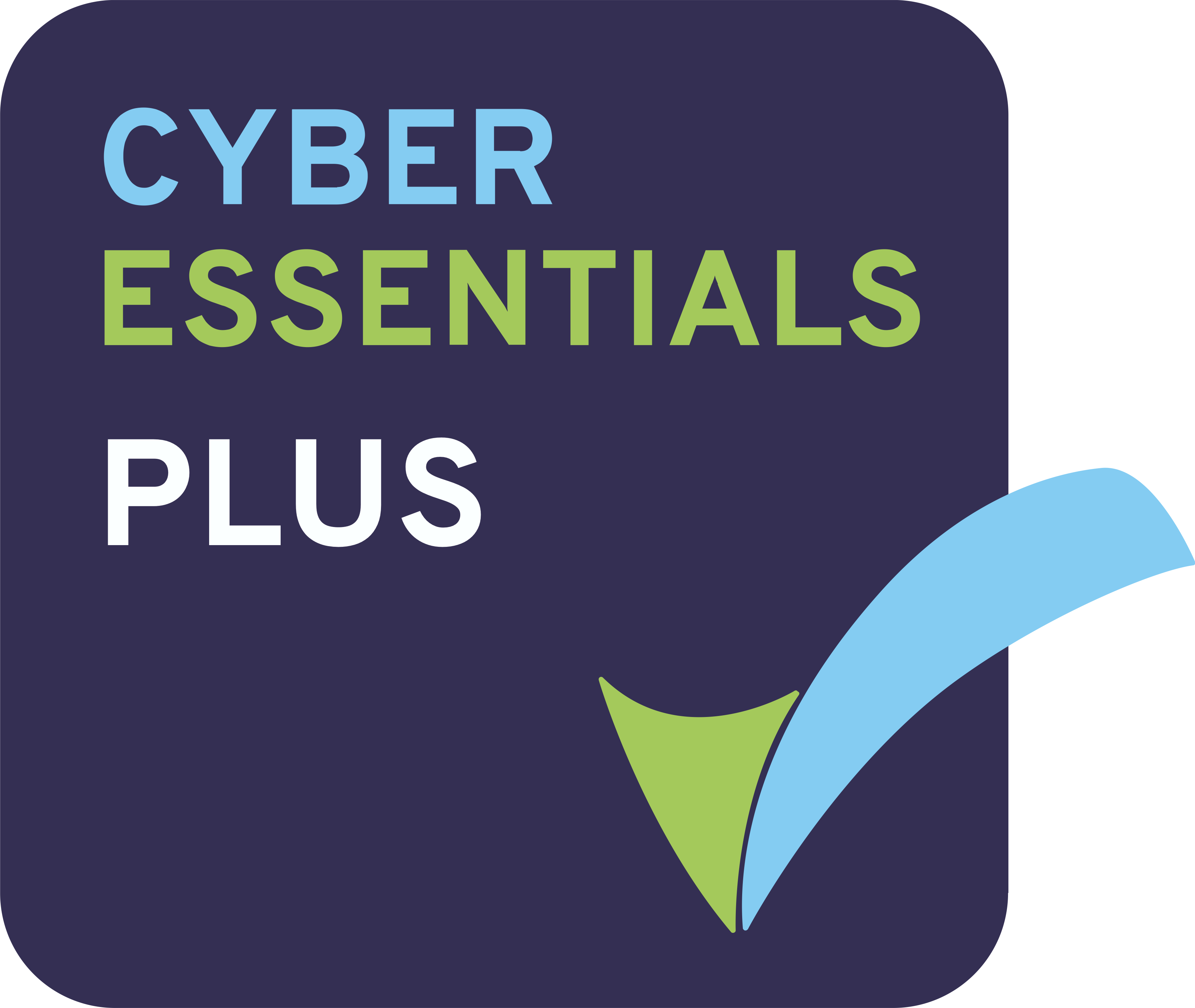 About You - Cyber Essentials Plus Logo (3560x3003)