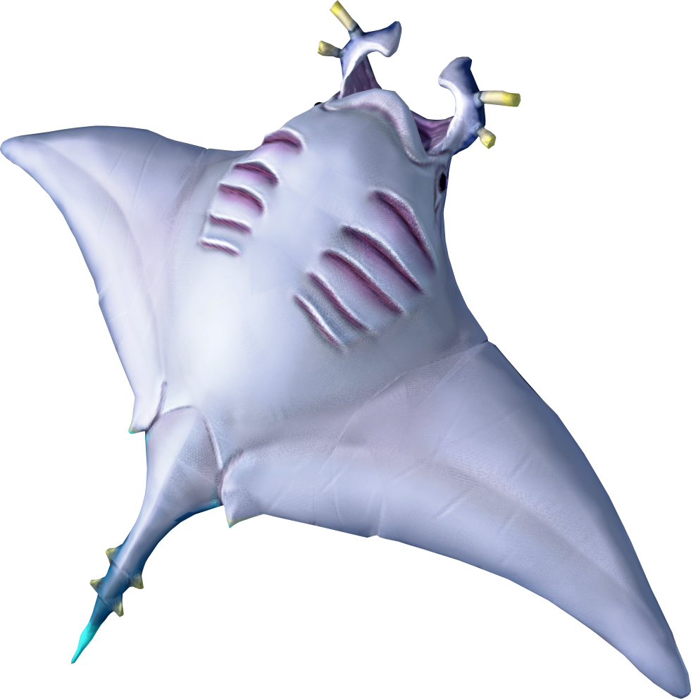 Raw Manta Ray - Manta Ray Fish (981x992)