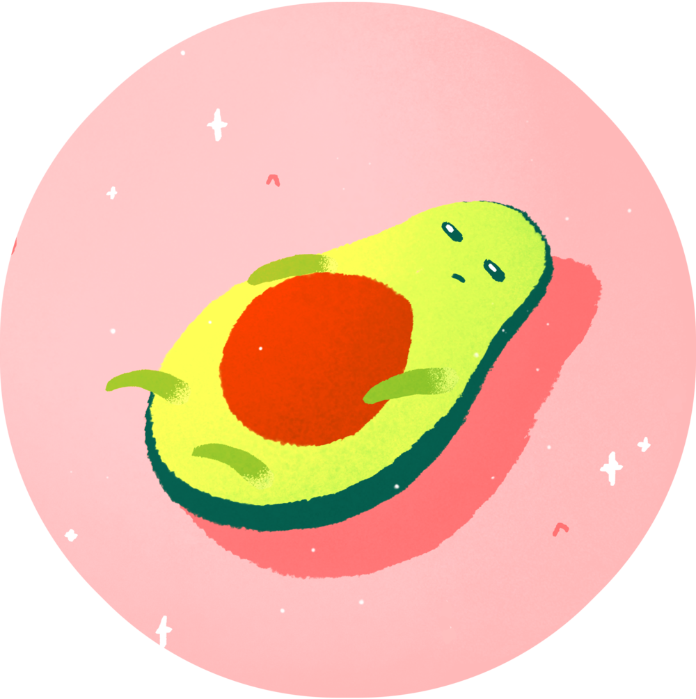 Avocado - Illustration (1000x1005)