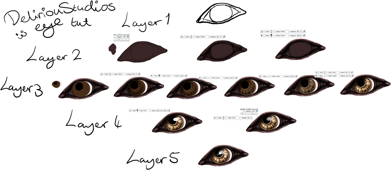 Free Simple Wolf Drawing Tutorial - Animal (1600x704)