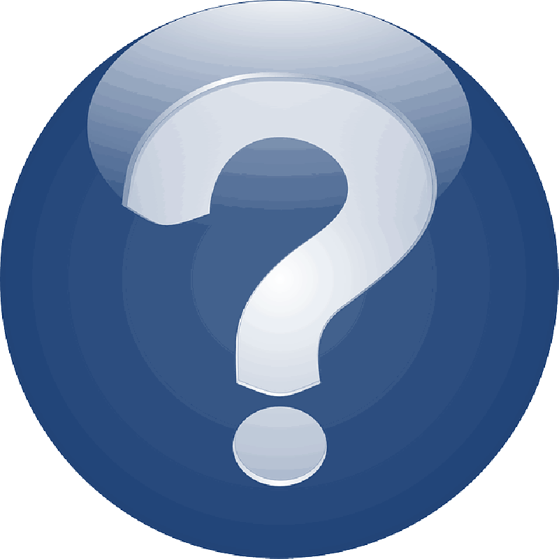 Ant - Question Mark (800x800)
