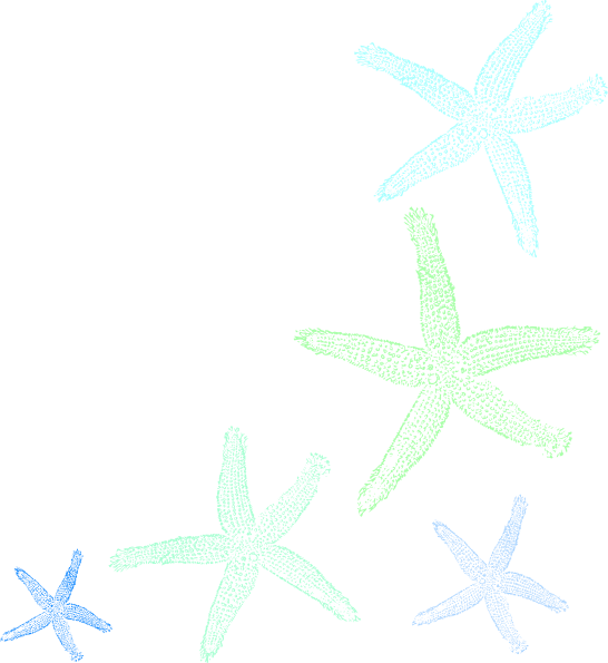 Starfish Clipart Mint - Starfish (546x595)