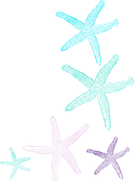 Starfish Corner Border (444x597)