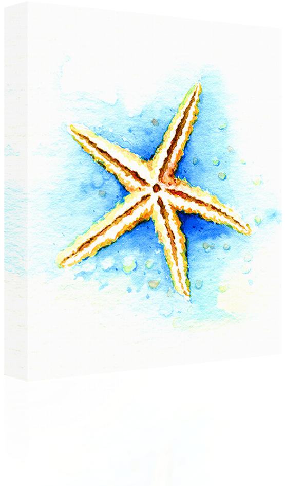 Watercolor - Starfish (1024x1024)