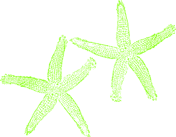 Green Starfish Clipart (600x468)