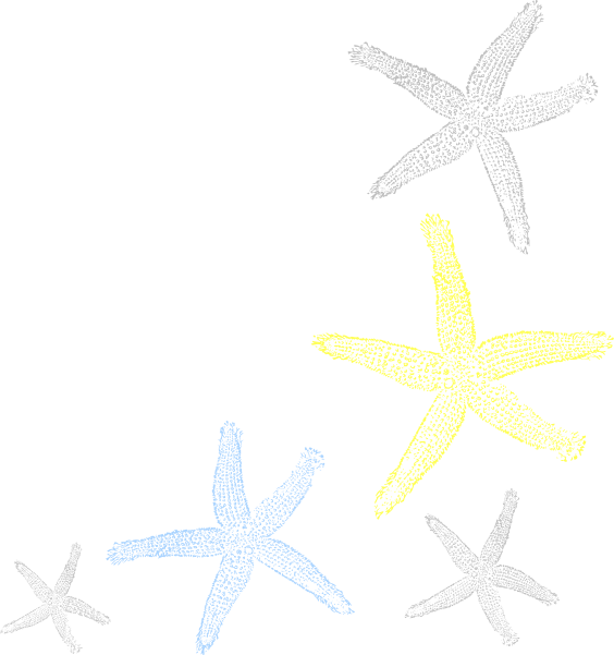Starfish Border (564x601)