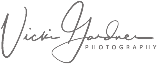 Photographer (730x295)