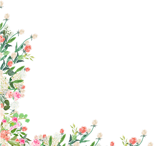 Designed By Papellerie - Bottlebush (496x477)