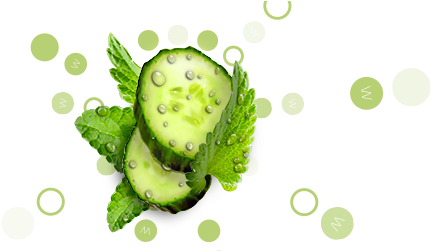 Soursop (600x250)