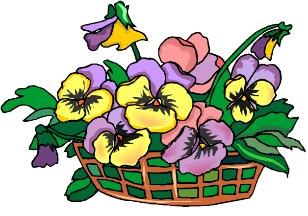 Pansies - Viola (649x540)