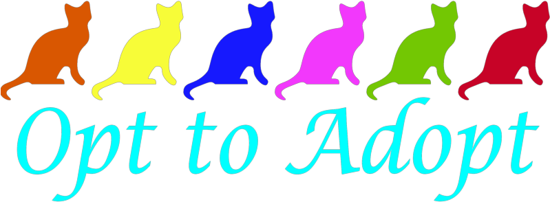 Cat Silhouette (800x344)