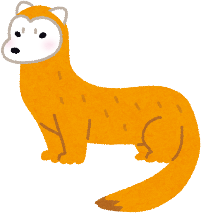 テンのイラスト - Ferret (800x800)