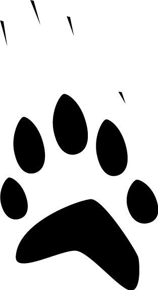 Clip Art (313x572)