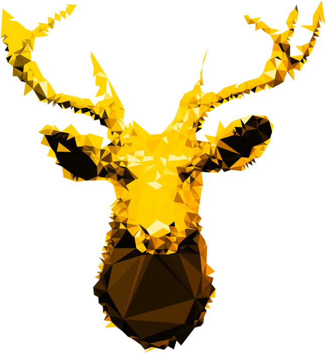 Wildlife - Illustration (700x700)