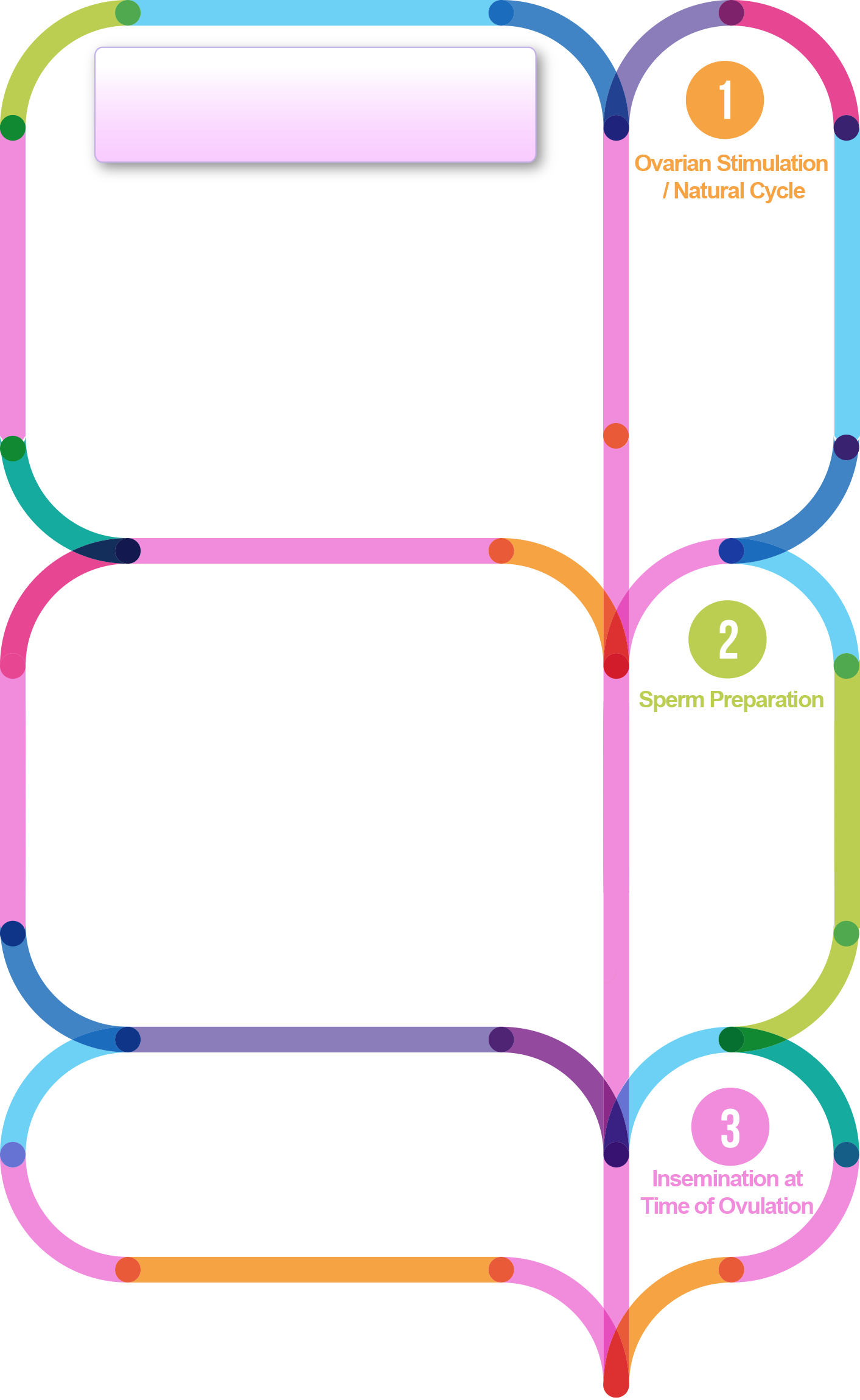 The Iui Procedure Involves - Circle (1413x2300)