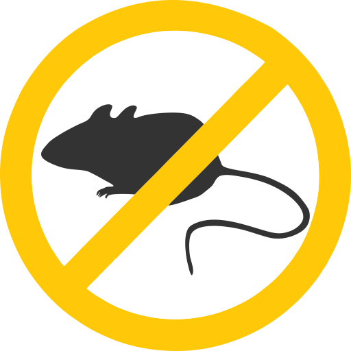 The Urban Rat Project - Rat (512x512)
