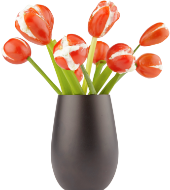 Tomatentulpen - Flowerpot (400x400)