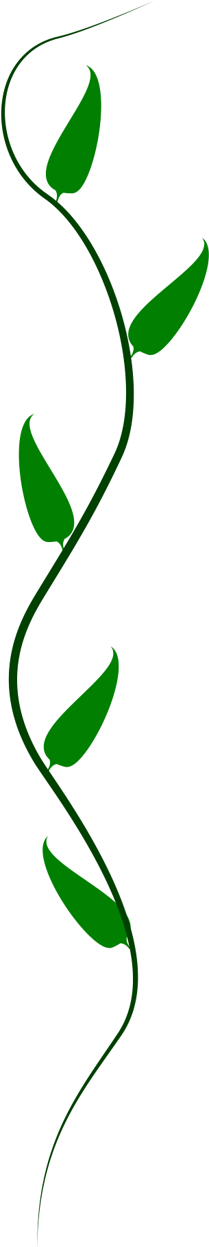 Greenvine - Single Green Vine (312x1826)