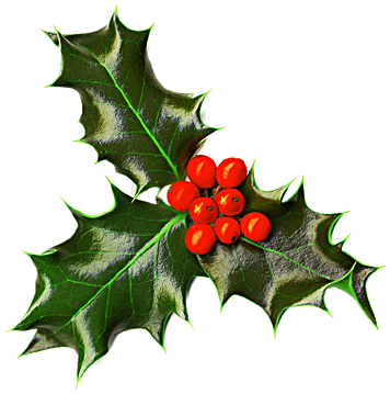 Christmas Day (361x365)