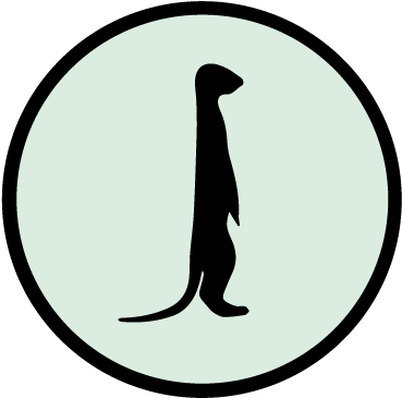 Meerkat Clip Art (792x612)