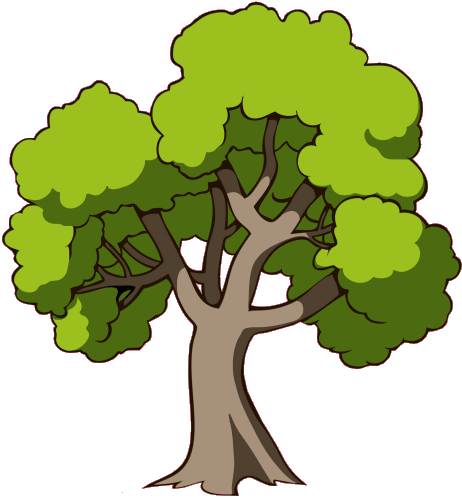 Dessin Arbre Couleur Verte (462x500)